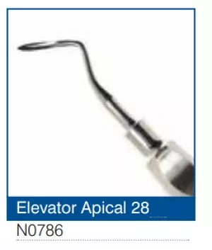 Elevator Apical 28